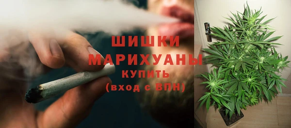 гидропоника Няндома