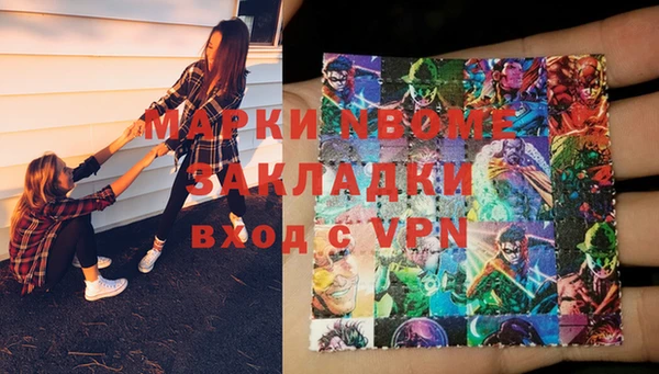 индика Нязепетровск