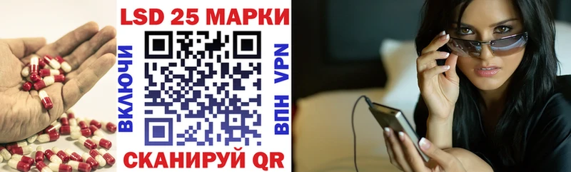 darknet Telegram  Апатиты  ЛСД экстази ecstasy 