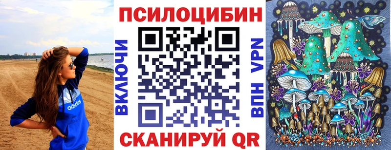 Псилоцибиновые грибы MAGIC MUSHROOMS  кракен как войти  Апатиты 
